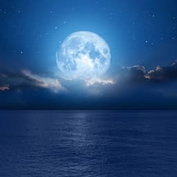 Dreamy Music for Tranquil Nights - Relaxing Muzic