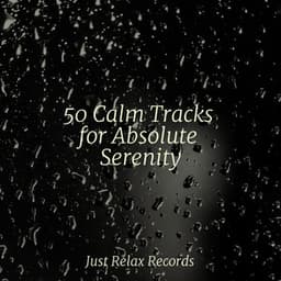 50 Calm Tracks for Absolute Serenity - Bird Sounds