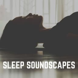 Sleep Soundscapes - Sleep Meditation Dream Catcher