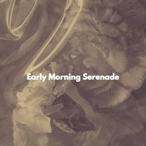 Early Morning Serenade - #Relaxing