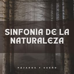 Sinfonía De La Naturaleza: Pájaros Y Sueño - Sonidos de la naturaleza de la isla