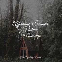 Affirming Sounds of Nature | Massage - Nature Sounds XLE Library