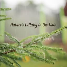 Nature's Lullaby in the Rain - Rain Recorders