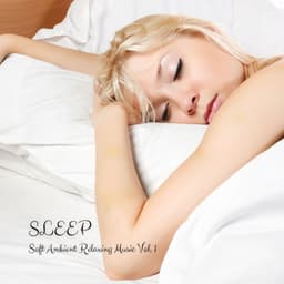 SLEEP: Soft Ambient Relaxing Music Vol. 1 - White Noise Sleep Sounds