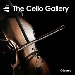 The Cello Gallery - Timothée Couteau