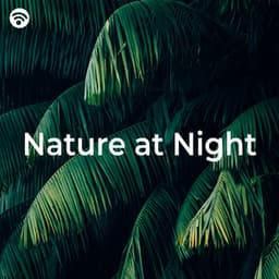 Nature at Night - Naturgeräusche für Entspannung und Erholung