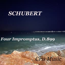 Schubert: 4 Impromptus, D.935 - Artur Schnabel