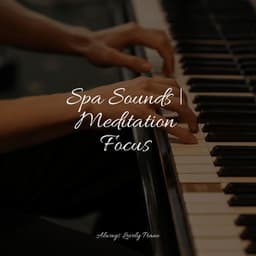 Spa Sounds | Meditation Focus - Restaurant Background Music