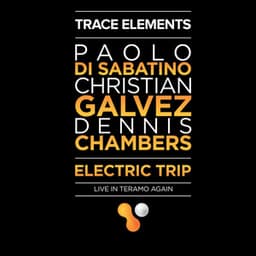 Trace Elements: Electric Trip - Paolo Di Sabatino