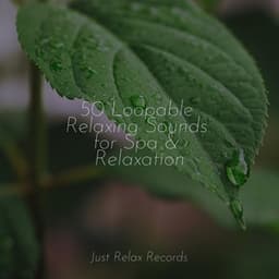 50 Loopable Relaxing Sounds for Spa & Relaxation - Meditation