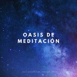 Oasis De Meditación: Serenidad Sónica - Reiki y Tai Chi Armonía