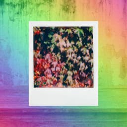 Music for Insomnia Relief - Chill Out Jazz Radio