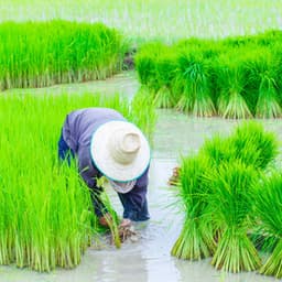 Piano's Rainy Work Ambiance Unveiled - Nighttime Piano