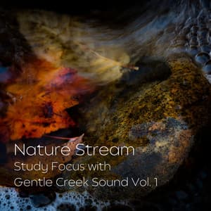 Nature Stream: Study Focus with Gentle Creek Sound Vol. 1 - Relaxing Study Music