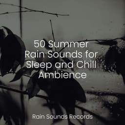 50 Summer Rain Sounds for Sleep and Chill Ambience - Avslappning Sound