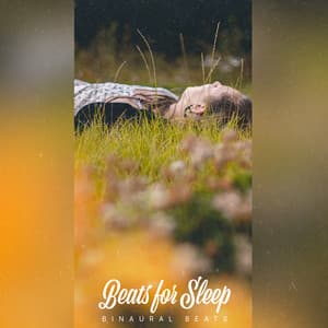 Beats for Sleep - Binaural Beats