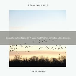 Beautiful White Noise Of Nature And Mother Earth For Ultra Dreams - The Noise Project