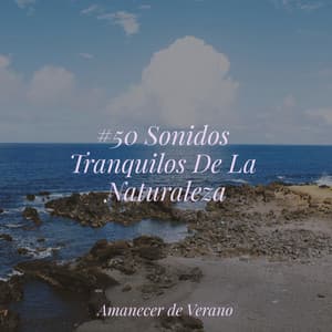 #50 Sonidos Tranquilos De La Naturaleza - Calm Music for Studying