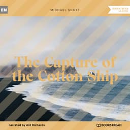 The Capture of the Cotton Ship - Ant Richards