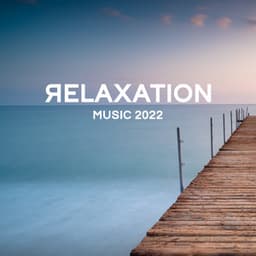 Relaxation Music 2022 - Chill Out Time Consort