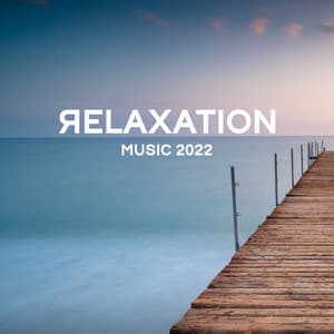 Relaxation Music 2022 - Chill Out Time Consort