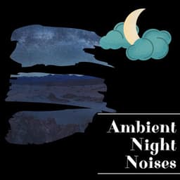 Ambient Night Noises for Zen Moments - Night Sounds Channel