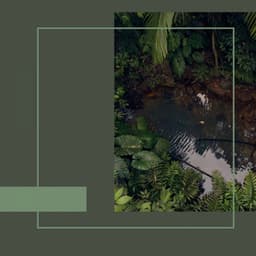 Backdrop for Chill Afternoons - Trumpet and Alto Sax - Paris Cafe Jazz