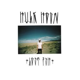 Lost ish - Hulk Hodn