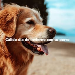 Cálido día de invierno con tu perro - Happy Instrumental Jazz