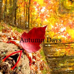 Autumn Days - Lofi Hip-Hop Beats