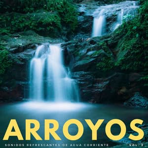 Arroyos: Sonidos Refrescantes De Agua Corriente Vol. 2 - Estados de ánimo y sonidos de agua