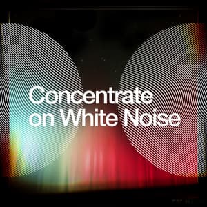 Concentrate on White Noise - White Noise 2015