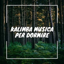 Kalimba musica per dormire con i suoni della foresta - Musica Curativa Club