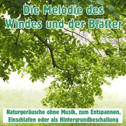 Die Melodie des Windes und der Blätter: Naturgeräusche ohne Musik, zum Entspannen, Einschlafen oder als Hintergrundbeschallung - Waldgeräusche