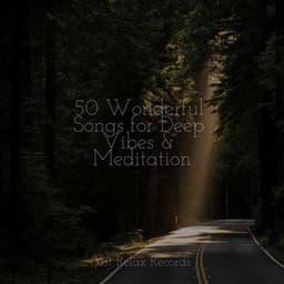 50 Wonderful Songs for Deep Vibes & Meditation - Anxiety Relief