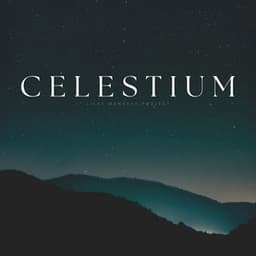 Celestium - Relax Bro