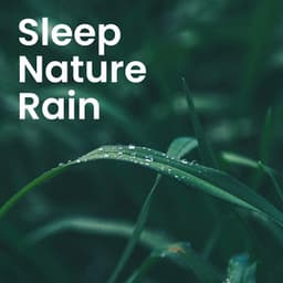 Nature's Healing Touch: Soothing Sounds for Sleep & Relaxation - Natural Healing Music Zone
