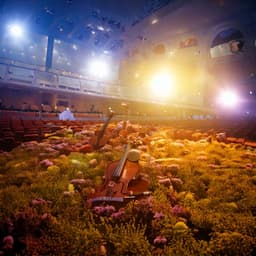 Calm Orchestra: Peaceful Sound Waves - Jason Humphries