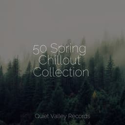 50 Spring Chillout Collection - Deep Sleep FX