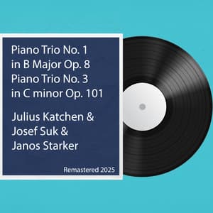 Piano Trio No. 1 in B Major, Op. 8 / Piano Trio No. 3 in C minor, Op. 101: Remastered 2025 - Johannes Brahms