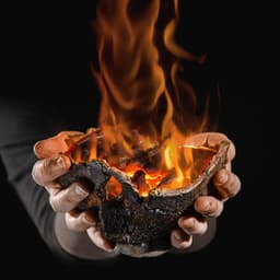 Ember Embrace: Ethereal Songs from Gentle Fire Flickers - Spirit Dreamers of the Ancient Realm