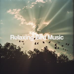 Relaxing Bird Music - Relaxing Spa Music