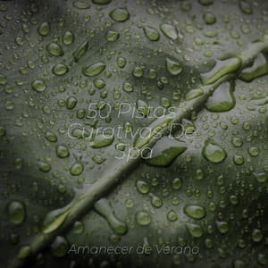 50 Pistas Curativas De Spa - Dormir