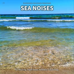 ** Sea Noises for Relaxing, Night Sleep, Wellness, Cats & Dogs - Coastal Sounds