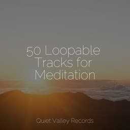 50 Loopable Tracks for Meditation - Alpha Waves