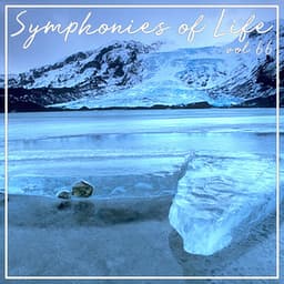Symphonies of Life, Vol. 66 - Im Abendrot, Romantische Chormusik - Rundfunkchor Berlin