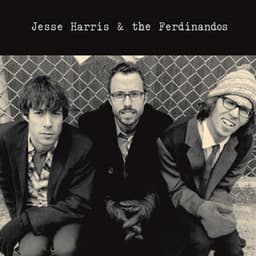 Jesse Harris & The Ferdinandos - Jesse Harris