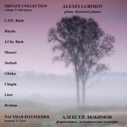 Private Collection, Vol. 3: Solo Pieces - Alexei Lubimov