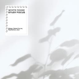 White Noise for Study Focus - White Noise Research