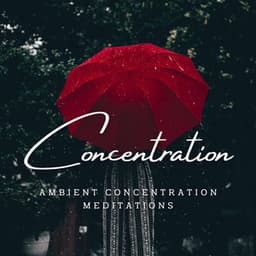 Rainy Focus: Ambient Concentration Meditations - Rain Rec.